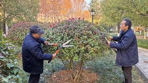 beats365中文官网 寿光绿化工程规划